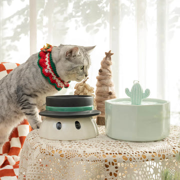 Top Hat Cat Bowl Set
