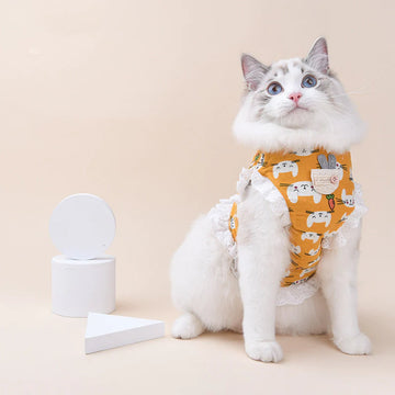 Rabbit Cat Leashes and Harnesses