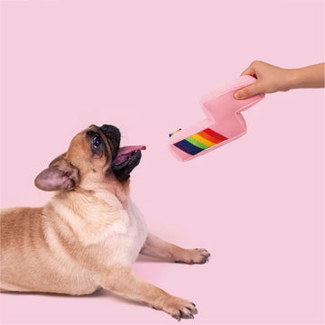 Rainbow and Lightning Series Cat Toy Wand