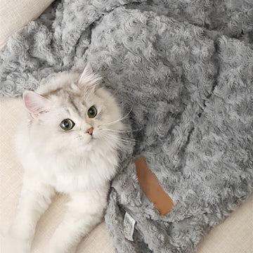Plush Thick Cat Blanket