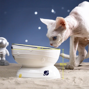 Starry Sky High Foot Cat Bowl