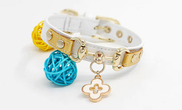 Hand Made Leather Pet Collar Lucky Clover