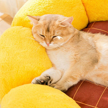 Sunflower Pet Sleeping Bed