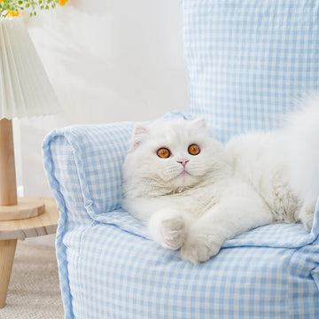 Adorable Plaid Cat Sofa