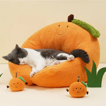 That’s Awesome Cat Bed
