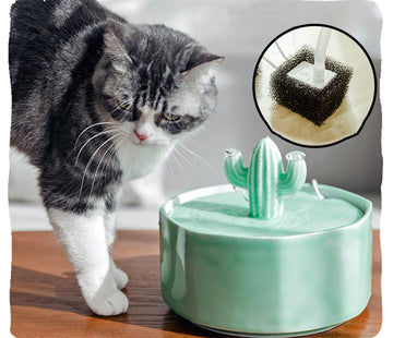 Cactus Style Cat Water Fountain