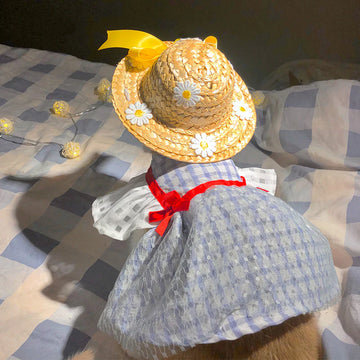 Hand Made Plaid Cat Dress