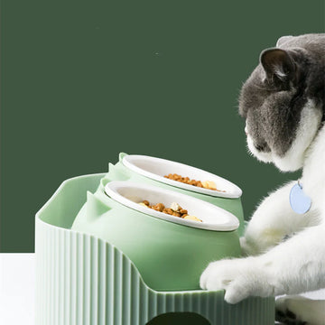 Bear Shaped Bone Cat Bowl