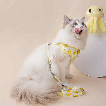 Fruit Series Cat Leashes and Harnesses