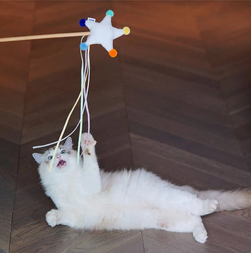 Starry Sky Series Cat Toy Wand