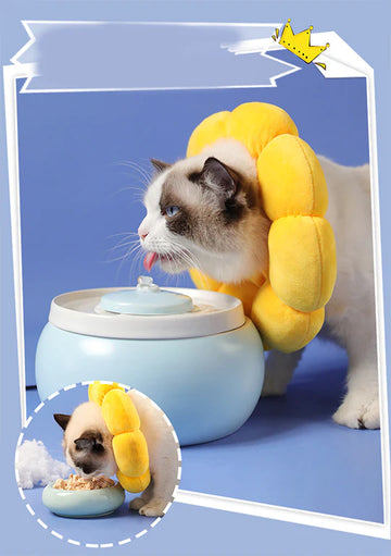 Flower Styled Cat Cone