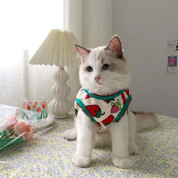 Strawberry Warm Cat Vest