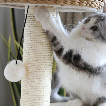 Brown Rattan Cat Tree