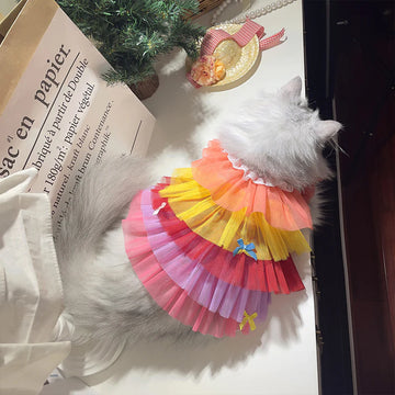 Rainbow Lace Mesh Cat Dress