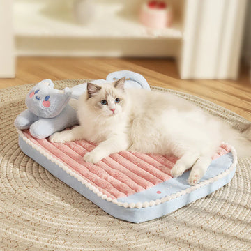 Sleeping with Cat Bed