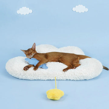 Cloud Shaped Pet Sleeping Mat
