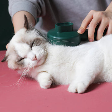 UV Disinfection Cat Groom