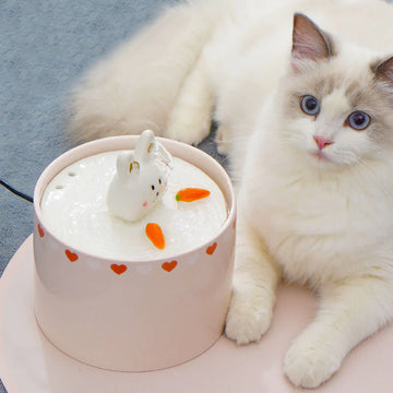 Rabbit Carrot Cat Water Fountain