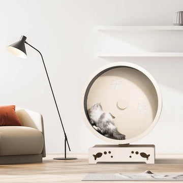 Paws and Fish Cat Wheel