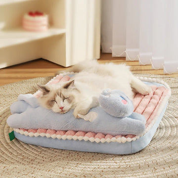 Sleeping with Cat Bed