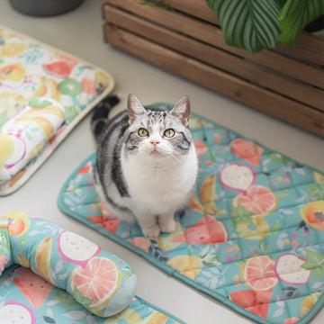 Summer Fruit Cool Cat Mat