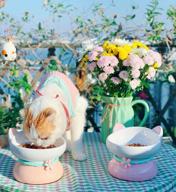 Macaron Ceramic Cat Bowl