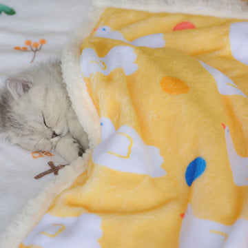 Little Chicken Blanket