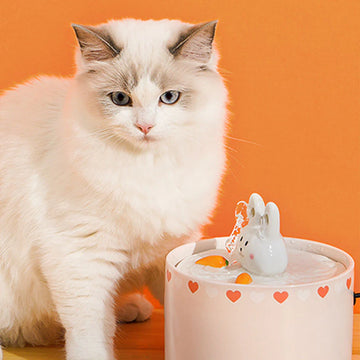 Rabbit Carrot Cat Water Fountain