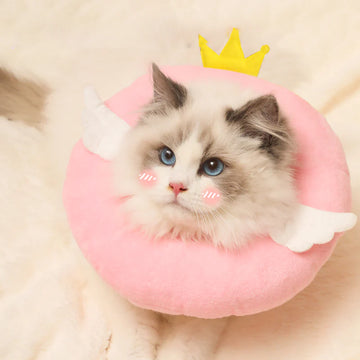 Angel Baby Cat Cone