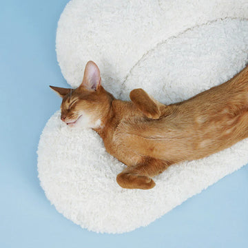 Cloud Shaped Pet Sleeping Mat