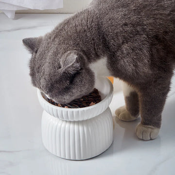 Striped Ceramic Pet Bowl