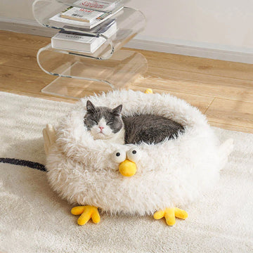 Chicken Coop Cat Bed
