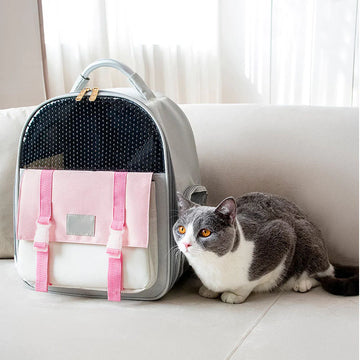 Pink Transparent Vents Cat Carrier