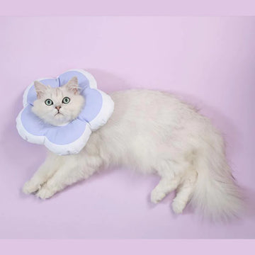 Cute Flower Adjustable Cat Cone