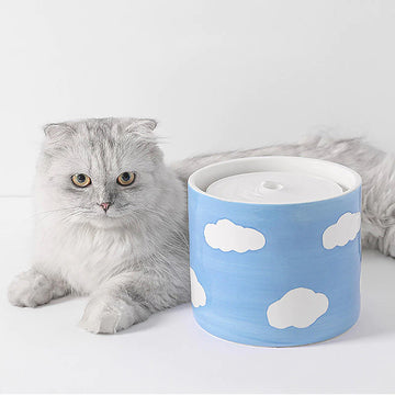 Cloud Cat Water Fountain