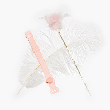 Wristband Fairy Interactive Cat Wands Teaser