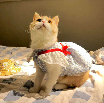 Hand Made Plaid Cat Dress