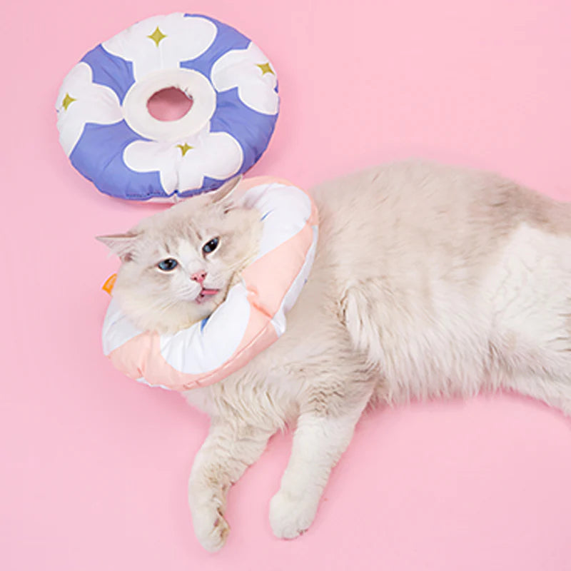 Flower Cat Cone