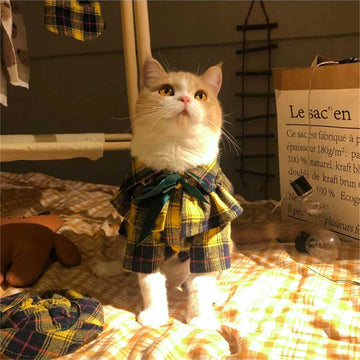 British Style Cat Clothes and Hat