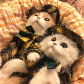 British Style Cat Clothes and Hat
