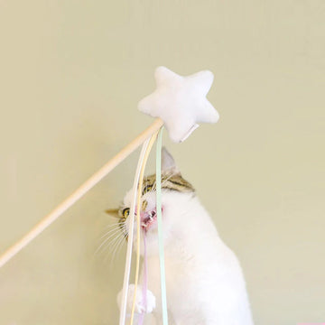 Star Style Interactive Cat Toy Wand
